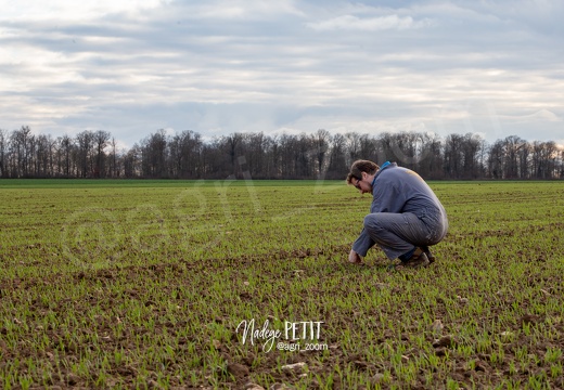 #1903197458 - crédit Nadège PETIT @agri zoom