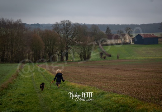 #2001021244 - crédit Nadège PETIT @agri zoom