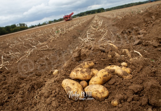 #1909059379 - crédit Nadège PETIT @agri zoom