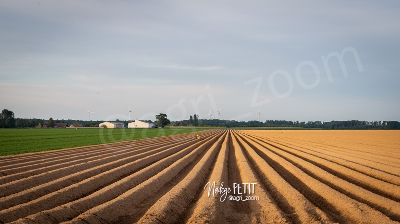 #2005075673 - crédit Nadège PETIT @agri_zoom.jpg