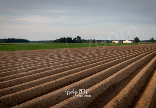 #2005075674 - crédit Nadège PETIT @agri zoom