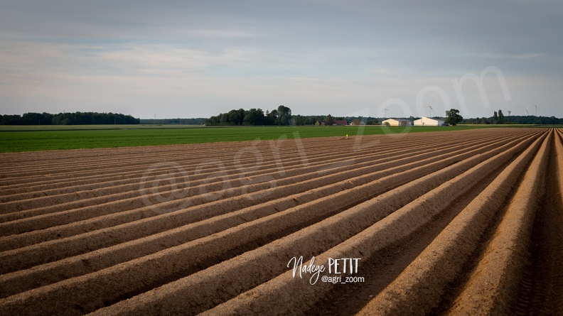 #2005075674 - crédit Nadège PETIT @agri zoom - #2005075674 - crédit Nadège PETIT @agri_zoom.jpg #2005075674 - crédit Nadège PETIT @agri_zoom.jpg