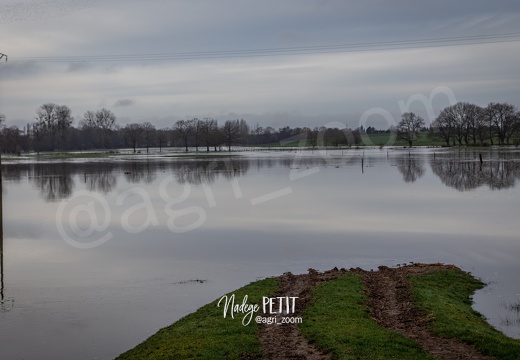 #1801065122 - crédit Nadège PETIT @agri zoom