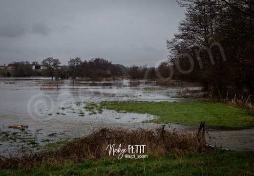 #1801065123 - crédit Nadège PETIT @agri zoom