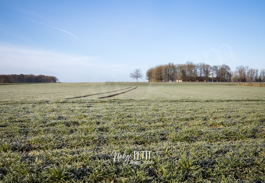 #1802165503 - crédit Nadège PETIT @agri zoom