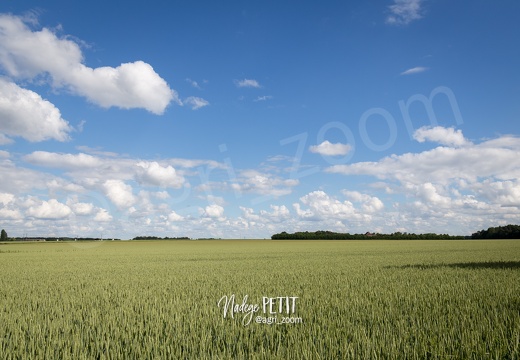 #1606150306 - crédit Nadège PETIT @agri zoom