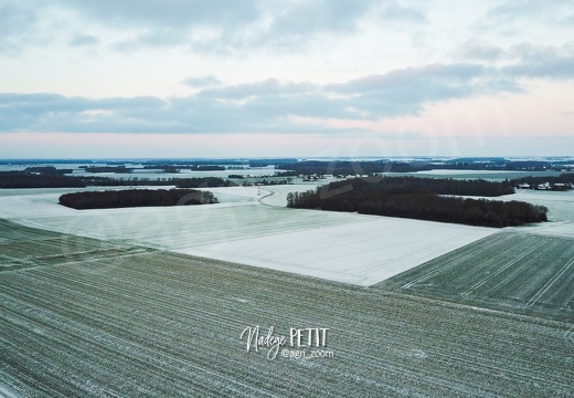 Plaine sous la neige de janvier