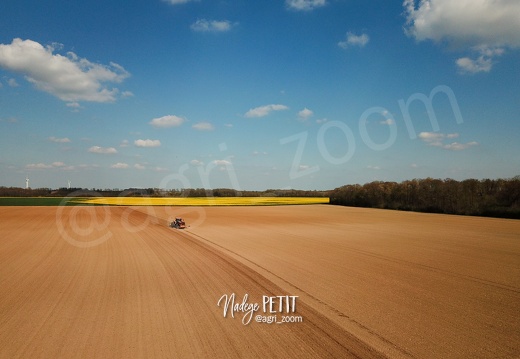 Semis du lin de printemps