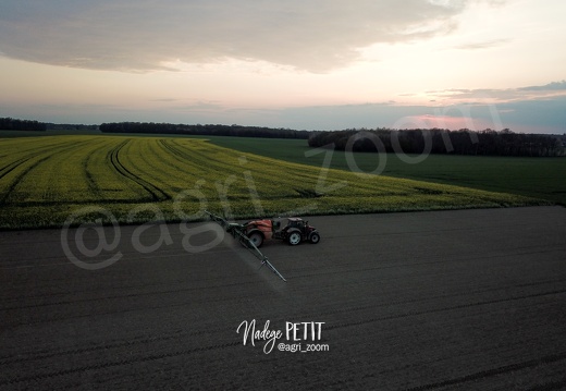 Insecticide après coucher du soleil sur un lin qui vient de lever, contre les altises (ravageur du lin au stade cotylédon).