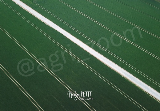 #2105020258 - crédit Nadège PETIT @agri zoom