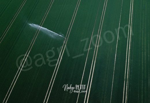 Irrigation de céréales au printemps
