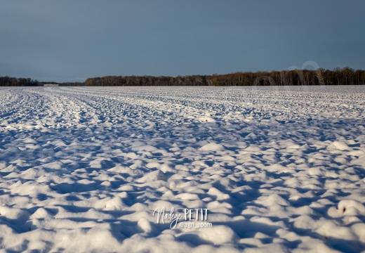 #1901306753 - crédit Nadège PETIT @agri zoom