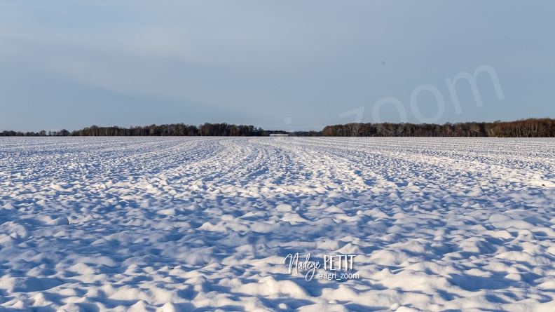 #1901306755 - crédit Nadège PETIT @agri_zoom.jpg