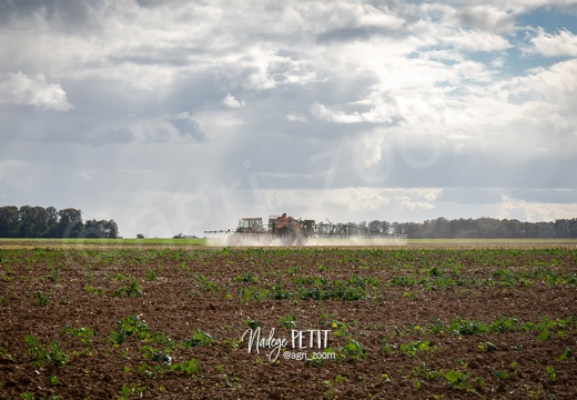 #2109292609 - crédit Nadège PETIT @agri zoom