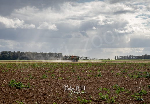 #2109292610 - crédit Nadège PETIT @agri zoom