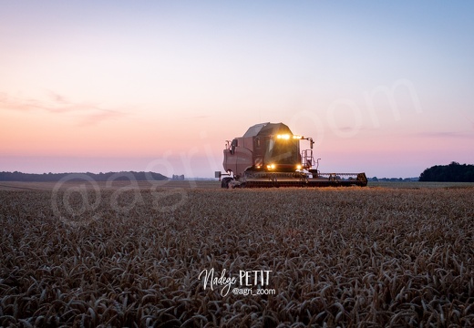 #1907258256 - crédit Nadège PETIT @agri zoom