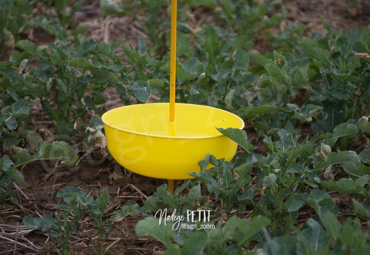 #1803261803265775 - crédit Nadège PETIT @agri zoom