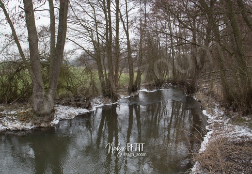 #1803015619 - crédit Nadège PETIT @agri zoom