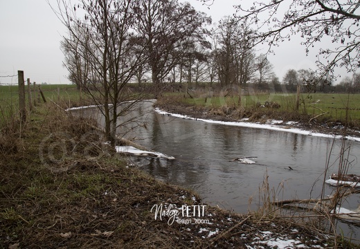 #1803015635 - crédit Nadège PETIT @agri zoom