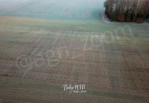 #2201140019 - crédit Nadège PETIT @agri zoom