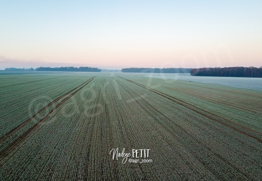 #2201140029 - crédit Nadège PETIT @agri zoom