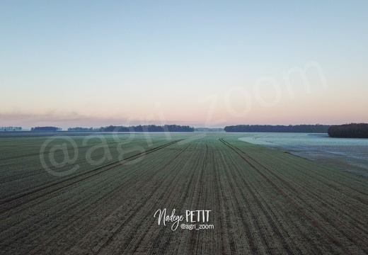 #2201140030 - crédit Nadège PETIT @agri zoom