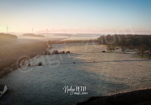 #2201140045 - crédit Nadège PETIT @agri zoom