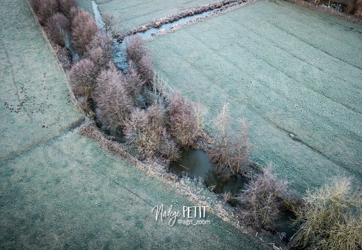 #2201140047 - crédit Nadège PETIT @agri zoom