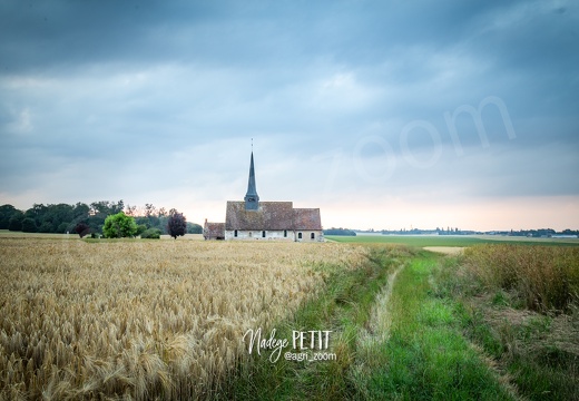 #2106300944 - crédit Nadège PETIT @agri zoom