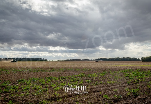 #2109292593 - crédit Nadège PETIT @agri zoom