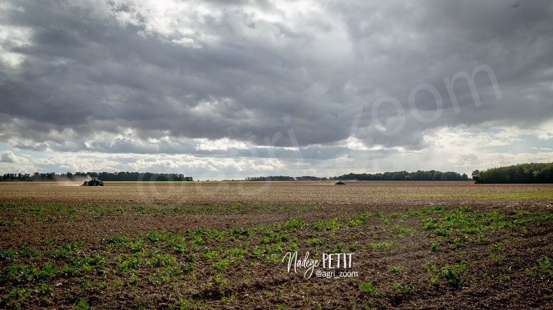 #2109292593 - crédit Nadège PETIT @agri zoom - #2109292593 - crédit Nadège PETIT @agri_zoom.jpg #2109292593 - crédit Nadège PETIT @agri_zoom.jpg