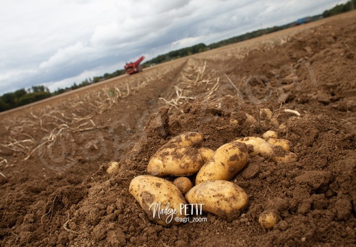 #1909059380 - crédit Nadège PETIT @agri zoom