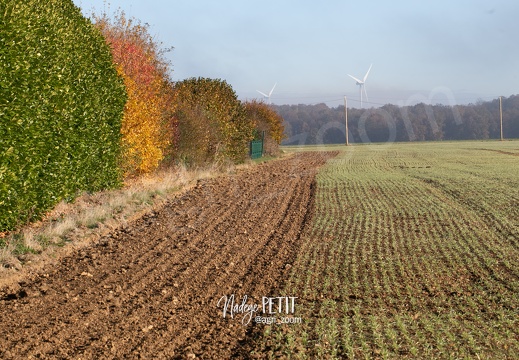 #2111113920 - crédit Nadège PETIT @agri zoom