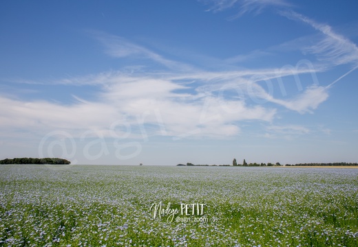 #1806298195 - crédit Nadège PETIT @agri zoom