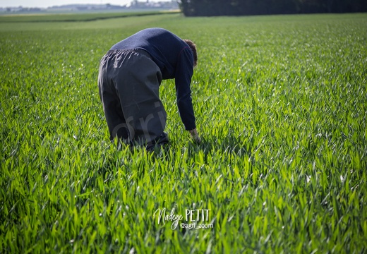 #1905069345 - crédit Nadège PETIT @agri zoom