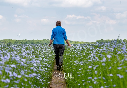 #1905219940 - crédit Nadège PETIT @agri zoom