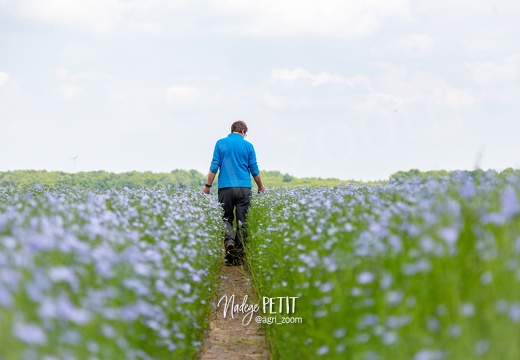 #1905219943 - crédit Nadège PETIT @agri zoom