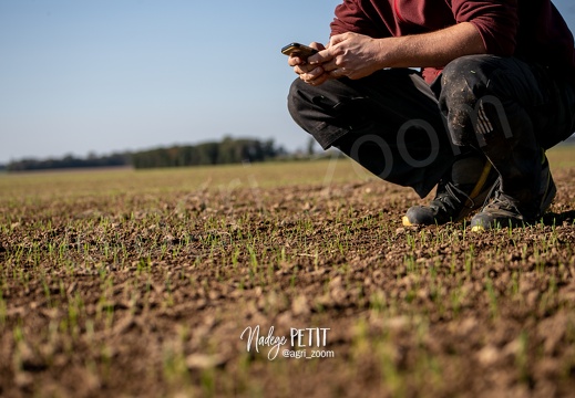 #2110193259 - crédit Nadège PETIT @agri zoom