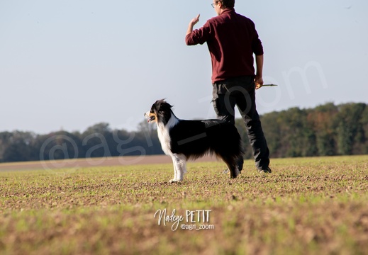 #2110193270 - crédit Nadège PETIT @agri zoom