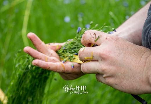 Prendre l'agriculture en main