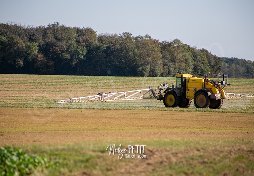 #2110193289 - crédit Nadège PETIT @agri zoom