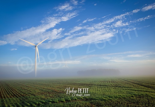 #201109083846 - crédit Nadège PETIT @agri zoom