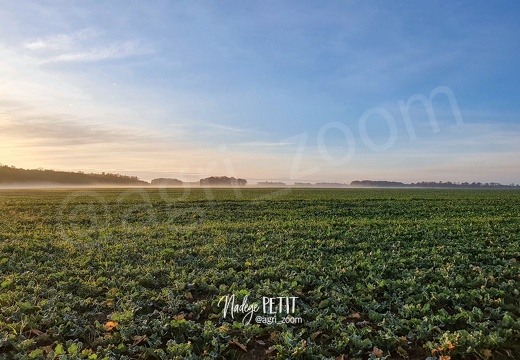 #201120084949 - crédit Nadège PETIT @agri zoom