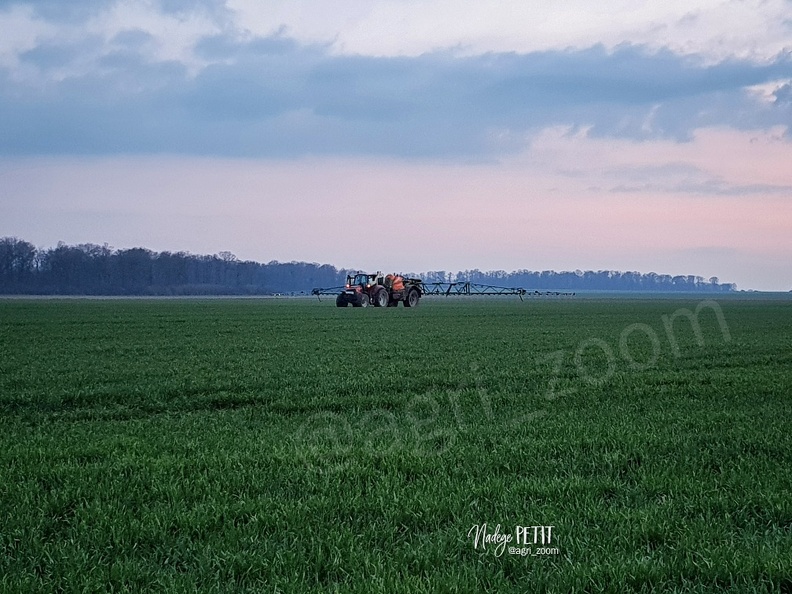 #210309185923 - crédit Nadège PETIT @agri zoom - #210309185923 - crédit Nadège PETIT @agri_zoom.jpg #210309185923 - crédit Nadège PETIT @agri_zoom.jpg