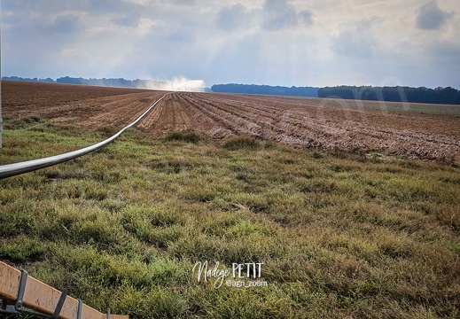 #210915174903 - crédit Nadège PETIT @agri zoom