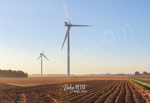 Eoliennes dans un champ, un matin d'automne