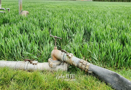 Irrigation, tuyau vide