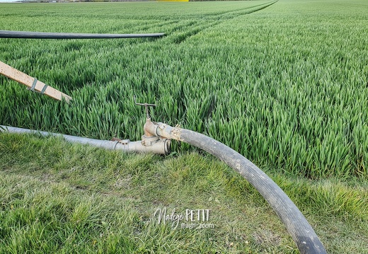 Irrigation tuyau plein eau