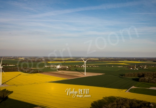 #2204150024 - crédit Nadège PETIT @agri zoom