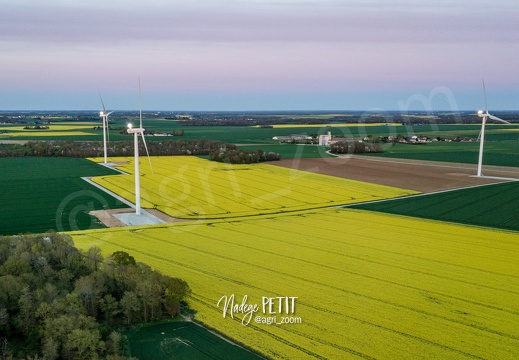 #2204170117 - crédit Nadège PETIT @agri zoom